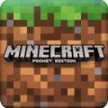 我的世界国际版(Minecraft)