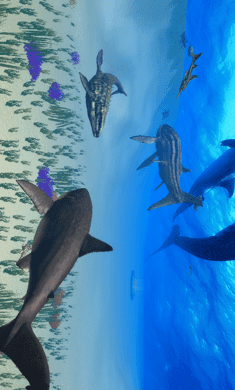 巨齿鲨模拟器免费下载-巨齿鲨模拟器手机版下载