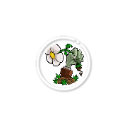 植物大战僵尸e版支线手机版(PvZ)