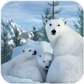 北极熊家庭生存(Polar Bear Family Survival)