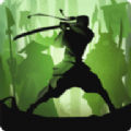 暗影格斗2无限金币带魔珠版(Shadow Fight 2)