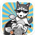 养只二哈不容易3(husky3)