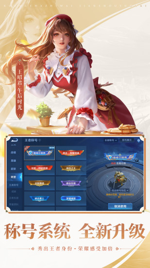 王者荣耀全皮肤体验版