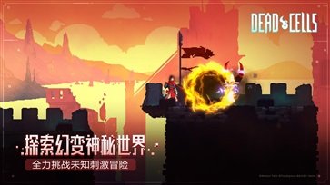 重生细胞（免费版完整版中文全解锁）