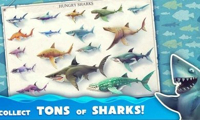 饥饿鲨世界（Hungry Shark国际服无限珍珠版）