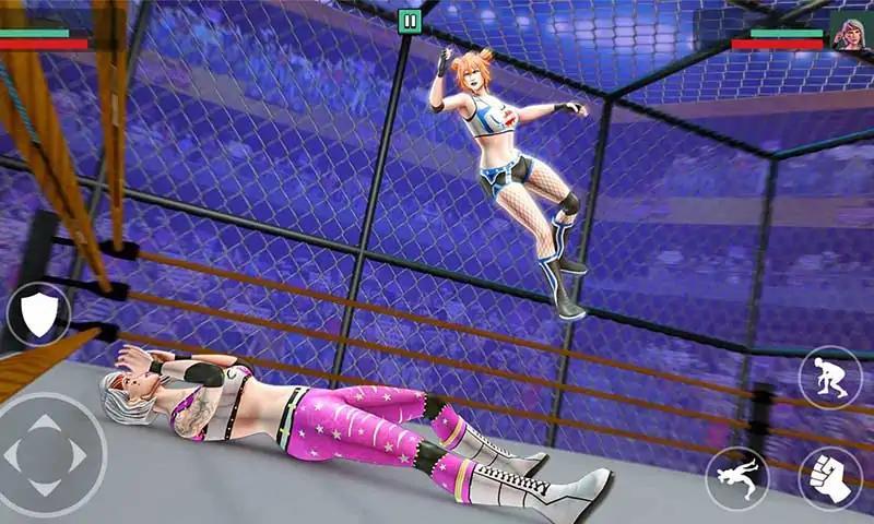 综合格斗大逃杀(Wrestling Empire)