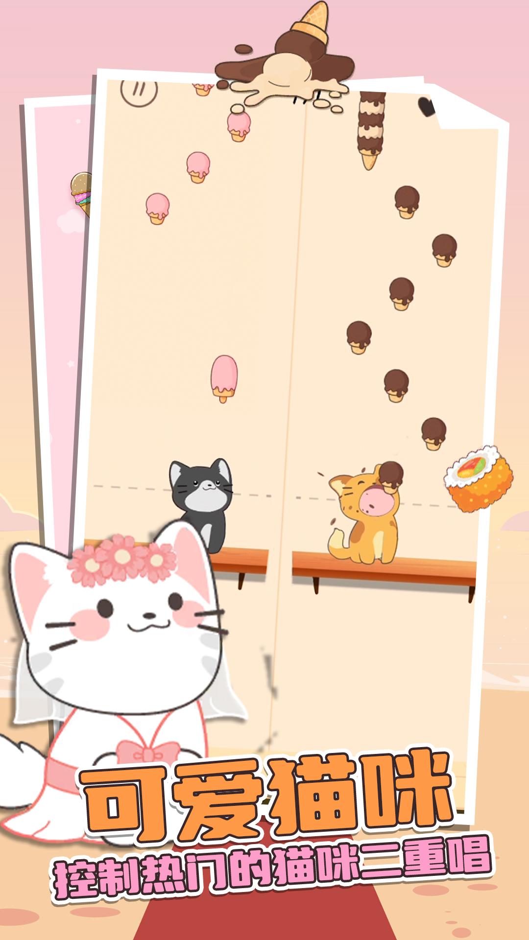 猫咪二重奏