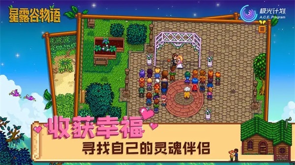 星露谷物语最新版下载-星露谷物语最新版下载中文