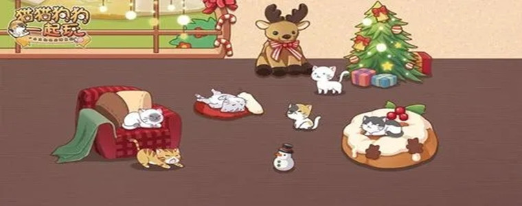 云养猫合集