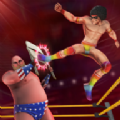综合格斗大逃杀(Wrestling Empire)