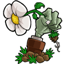 lzscpvz（植物大战僵尸lz重制版）