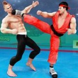 功夫王格斗冠军(Karate Street Fight)