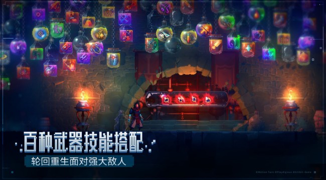 重生细胞最新版下载-重生细胞最新版中文下载v3.3.6