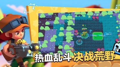 Null’s Brawl(荒野乱斗私人服)