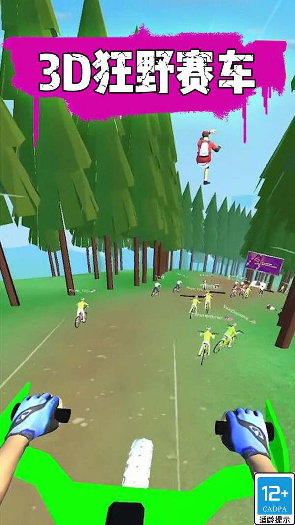 3D狂野赛车