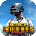 PUBG MOBILE(地铁逃生正版)