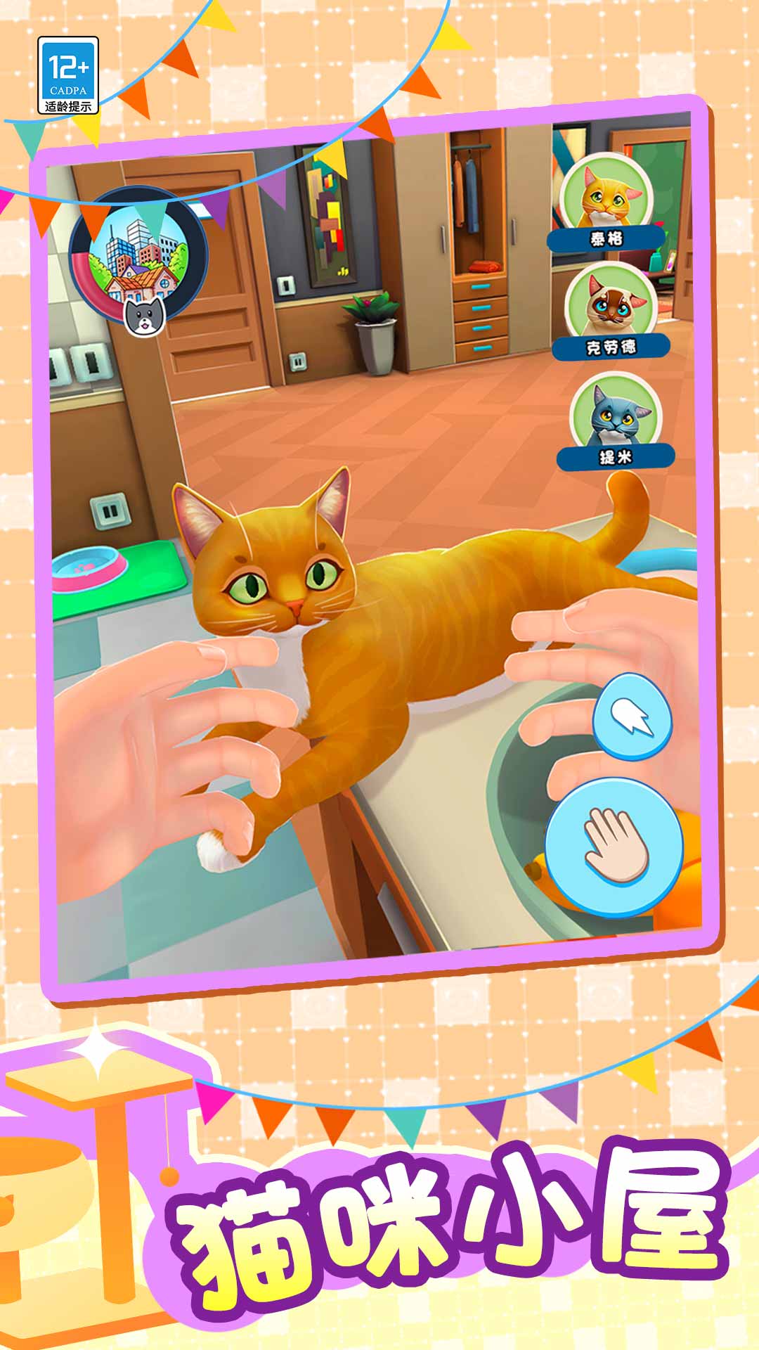 小小猫之家