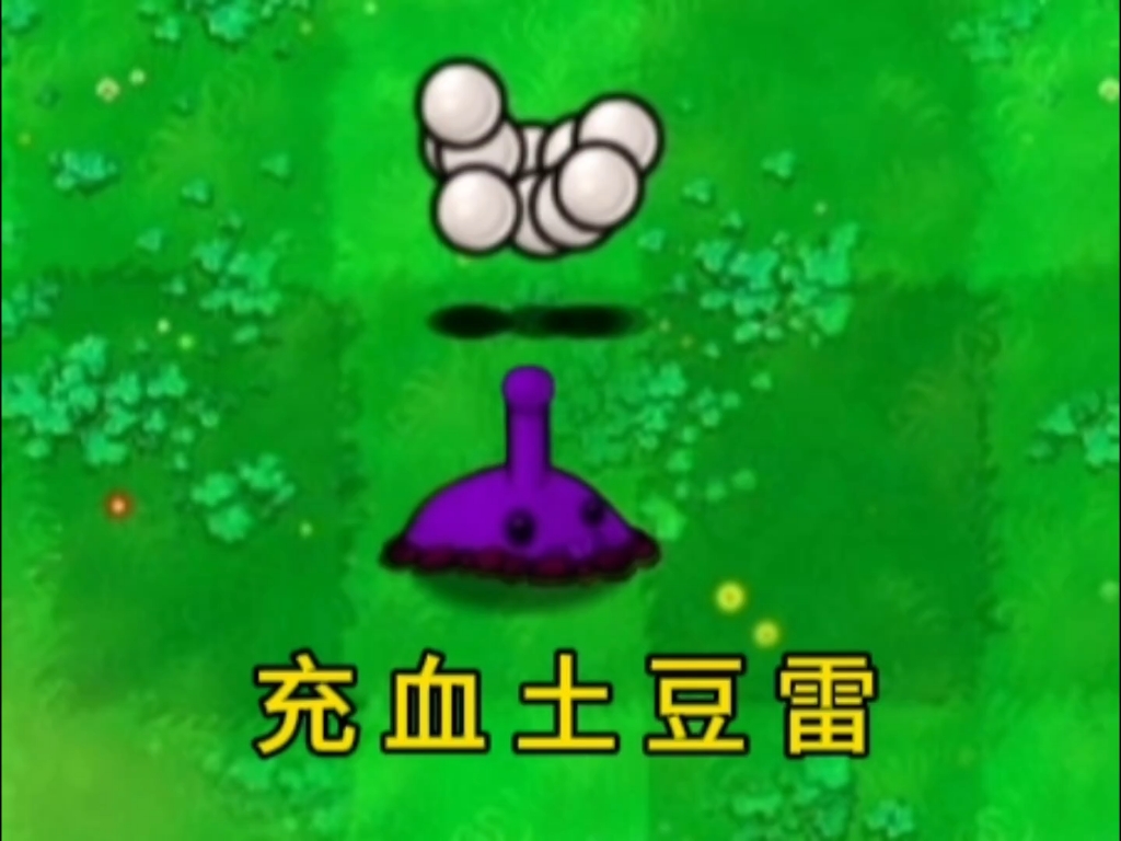 1754361640_2.jpg