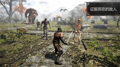 20250923180952999.jpg 20250922094055262.jpg