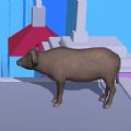 盲盒决斗