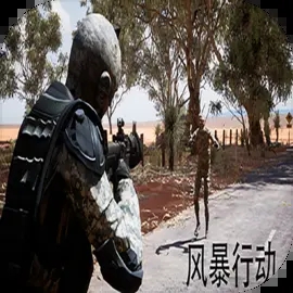 风暴行动