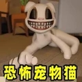 猫猫大冒险官方正版
