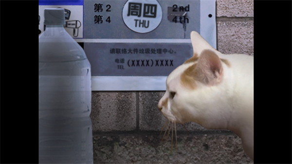 翌日猫之怪奇谭